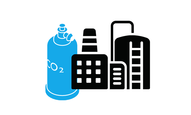 Bulk Gases